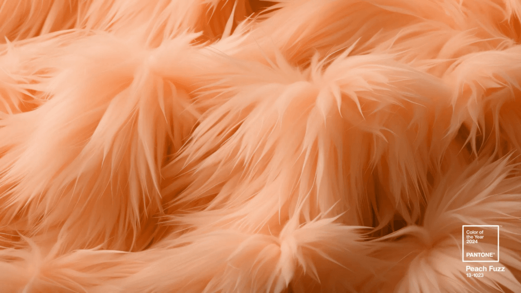 Peach Fuzz: A Cor Pantone De 2024